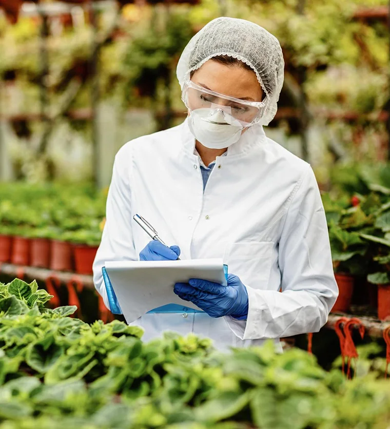 Quality specialist recording inspection results among growing produce
